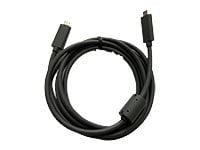 Rally USB C To C Cable - N/a - C To C Cable