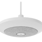 Rally Mic Pod Pendant Mount (Off-White) - mounted ceiling view