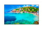ELPSC36 120" ALR Screen
